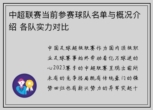 中超联赛当前参赛球队名单与概况介绍 各队实力对比
